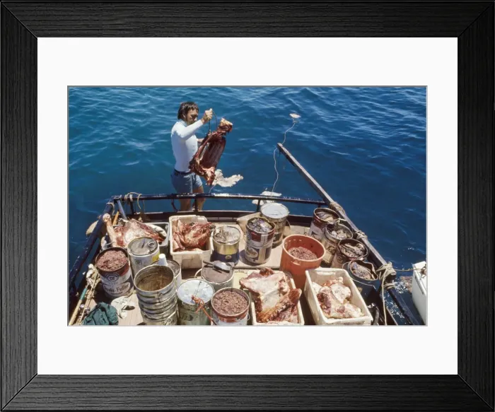 Framed Print : Picture No. 10767253