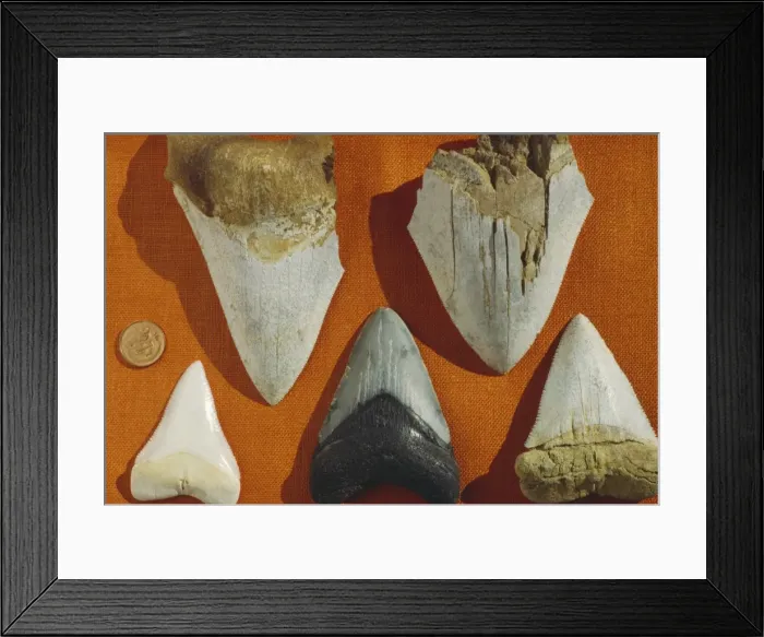 Framed Print : Picture No. 10767270 Framed Print : Picture No. 10767270