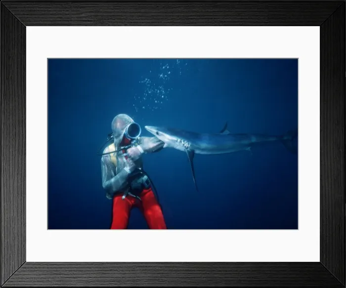 Framed Print : Picture No. 10767585 Framed Print : Picture No. 10767585