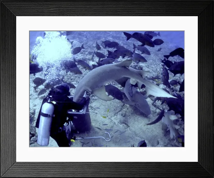 Framed Print : Picture No. 10767602 Framed Print : Picture No. 10767602