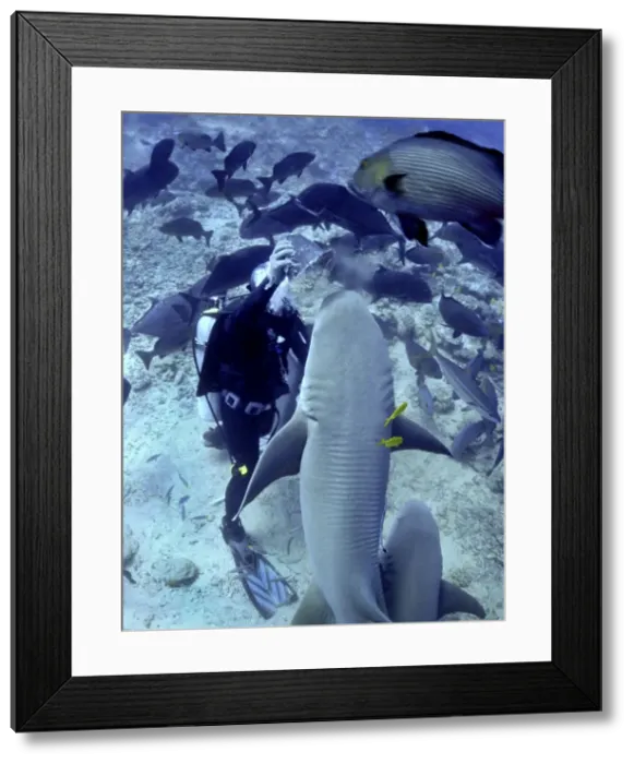 Framed Print : Picture No. 10767606 Framed Print : Picture No. 10767606