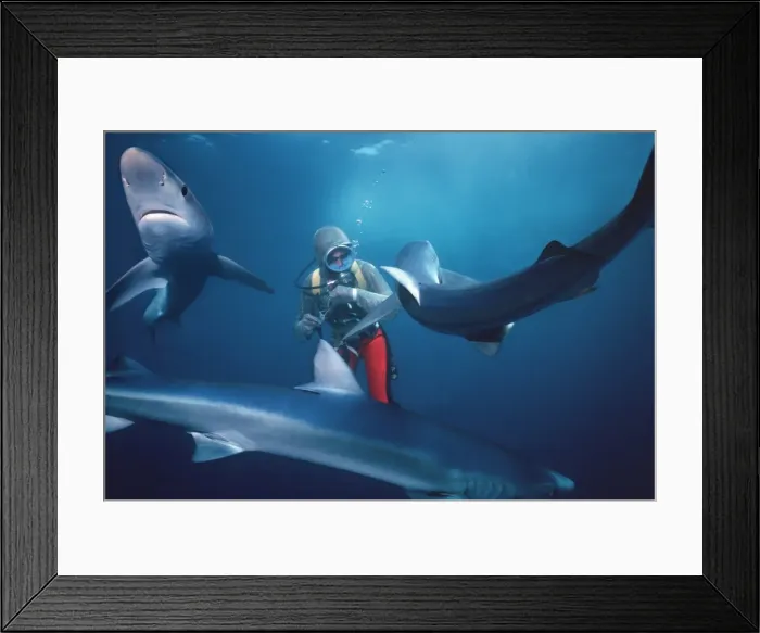 Framed Print : Picture No. 10767587 Framed Print : Picture No. 10767587
