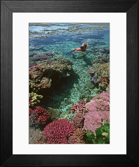 Framed Print : Picture No. 10767627