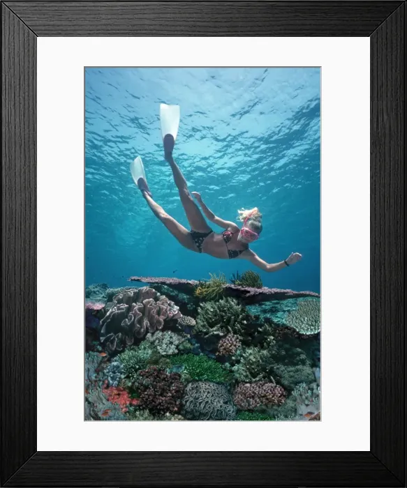 Framed Print : Picture No. 10767633 Framed Print : Picture No. 10767633