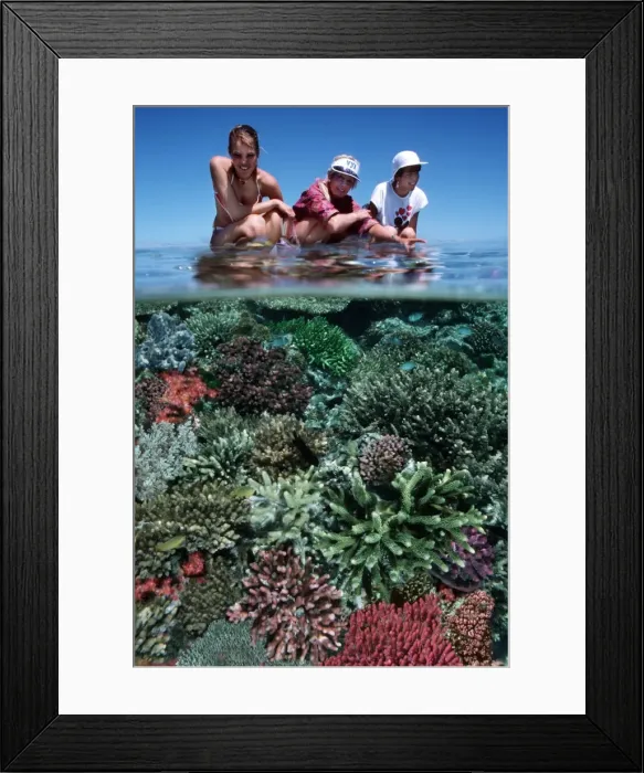 Framed Print : Picture No. 10767628 Framed Print : Picture No. 10767628