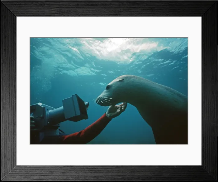 Framed Print : Picture No. 10767698 Framed Print : Picture No. 10767698