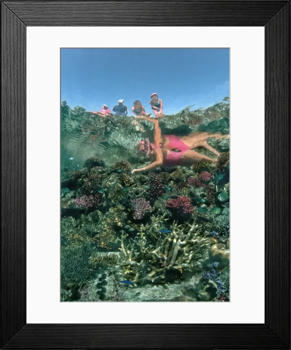 Framed Print : Picture No. 10767630