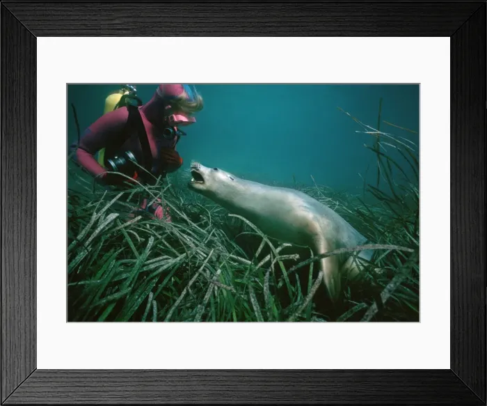 Framed Print : Picture No. 10767699 Framed Print : Picture No. 10767699