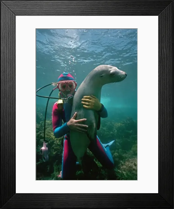 Framed Print : Picture No. 10767693 Framed Print : Picture No. 10767693