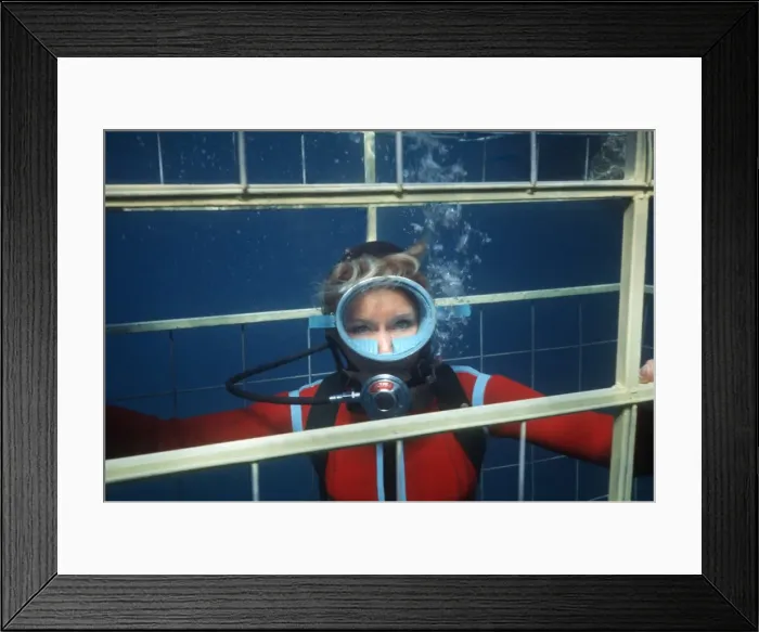 Framed Print : Picture No. 10767712 Framed Print : Picture No. 10767712