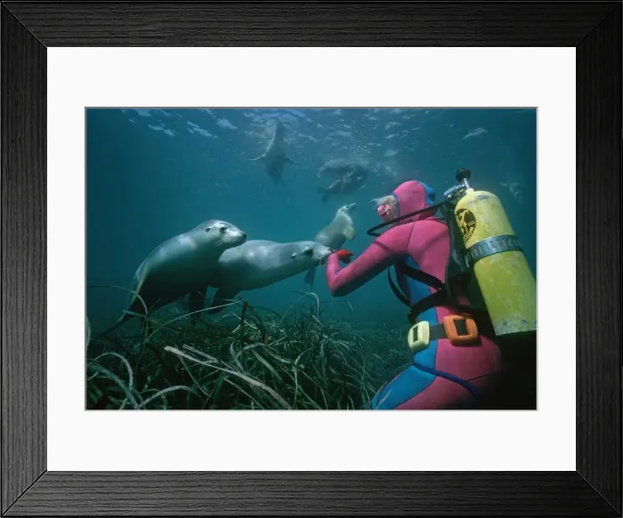 Framed Print : Picture No. 10767694 Framed Print : Picture No. 10767694