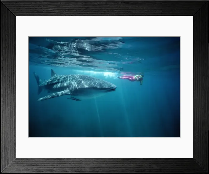 Framed Print : Picture No. 10767716 Framed Print : Picture No. 10767716