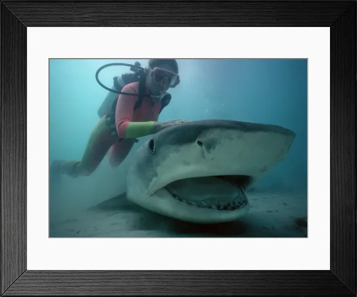 Framed Print : Picture No. 10767718 Framed Print : Picture No. 10767718