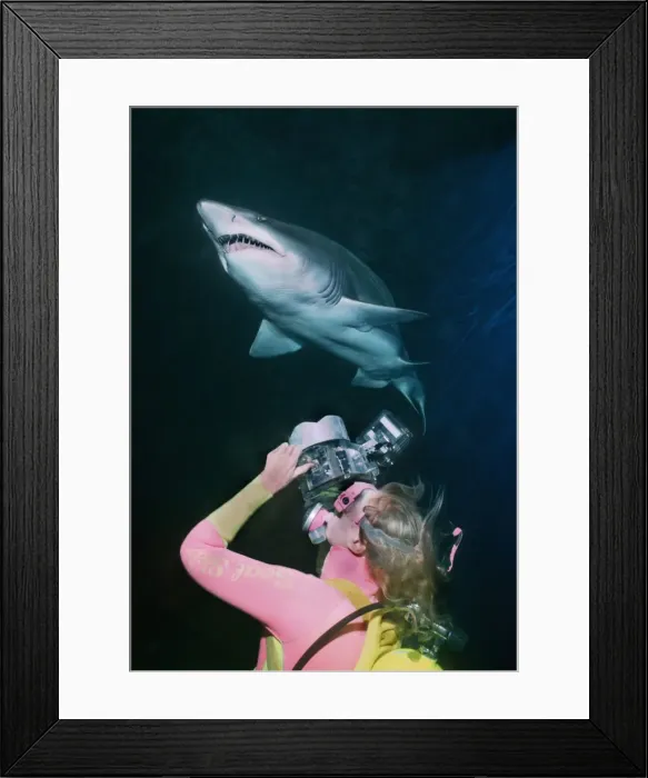 Framed Print : Picture No. 10767717 Framed Print : Picture No. 10767717