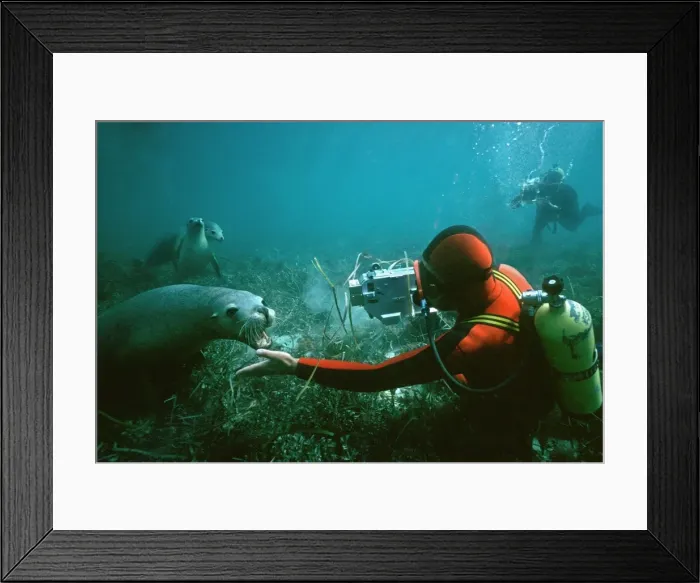 Framed Print : Picture No. 10767702 Framed Print : Picture No. 10767702
