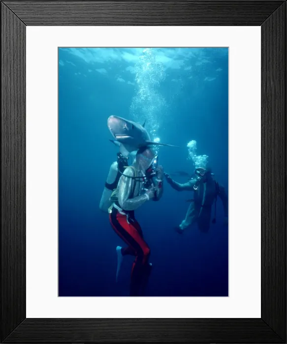 Framed Print : Picture No. 10767722 Framed Print : Picture No. 10767722