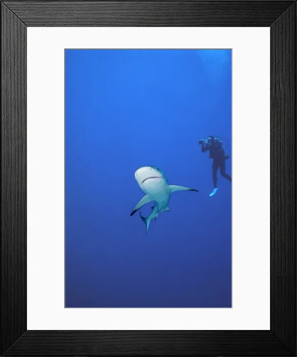 Framed Print : Picture No. 10767723 Framed Print : Picture No. 10767723