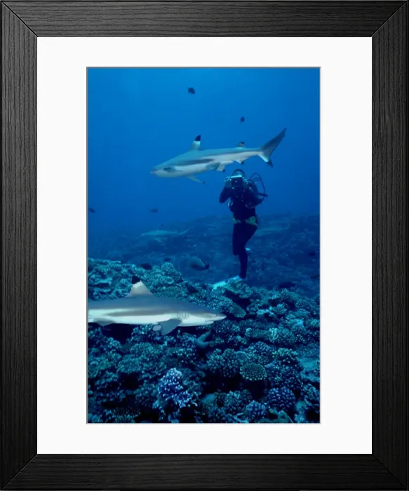 Framed Print : Picture No. 10767728 Framed Print : Picture No. 10767728