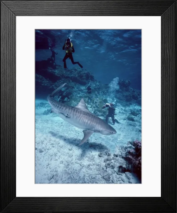 Framed Print : Picture No. 10767720 Framed Print : Picture No. 10767720