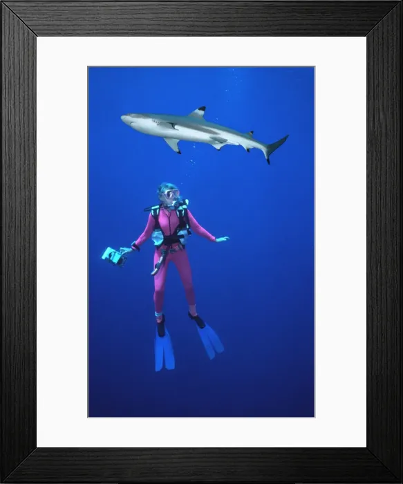 Framed Print : Picture No. 10767725 Framed Print : Picture No. 10767725