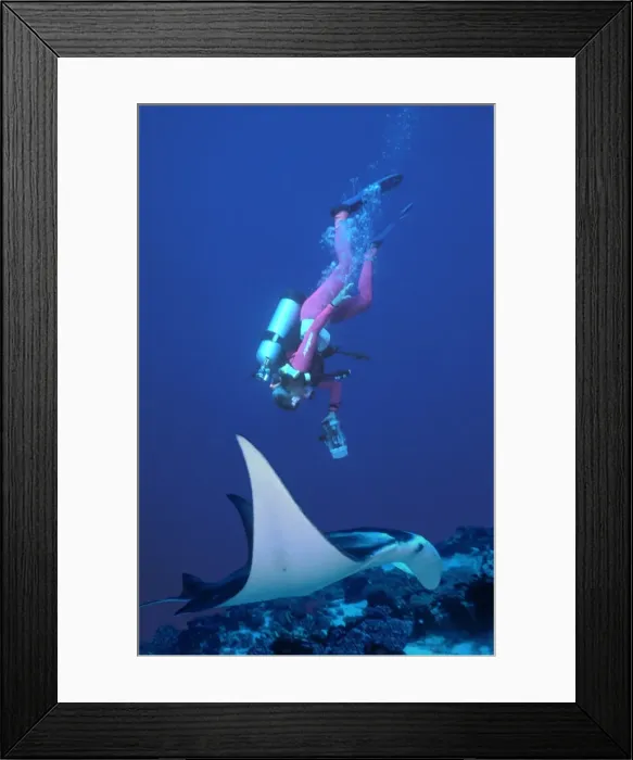Framed Print : Picture No. 10767729 Framed Print : Picture No. 10767729