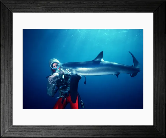 Framed Print : Picture No. 10767733 Framed Print : Picture No. 10767733