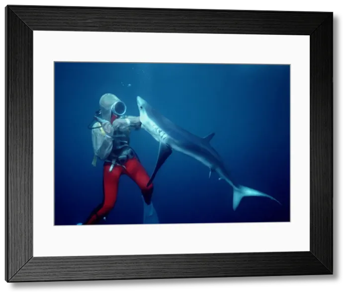 Framed Print : Picture No. 10767735 Framed Print : Picture No. 10767735