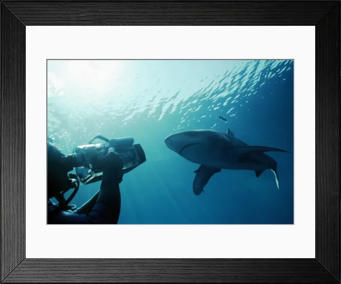 Framed Print : Picture No. 10767736 Framed Print : Picture No. 10767736