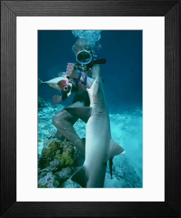 Framed Print : Picture No. 10767734 Framed Print : Picture No. 10767734