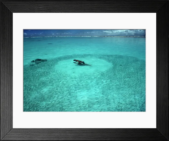 Framed Print : Picture No. 10767748 Framed Print : Picture No. 10767748