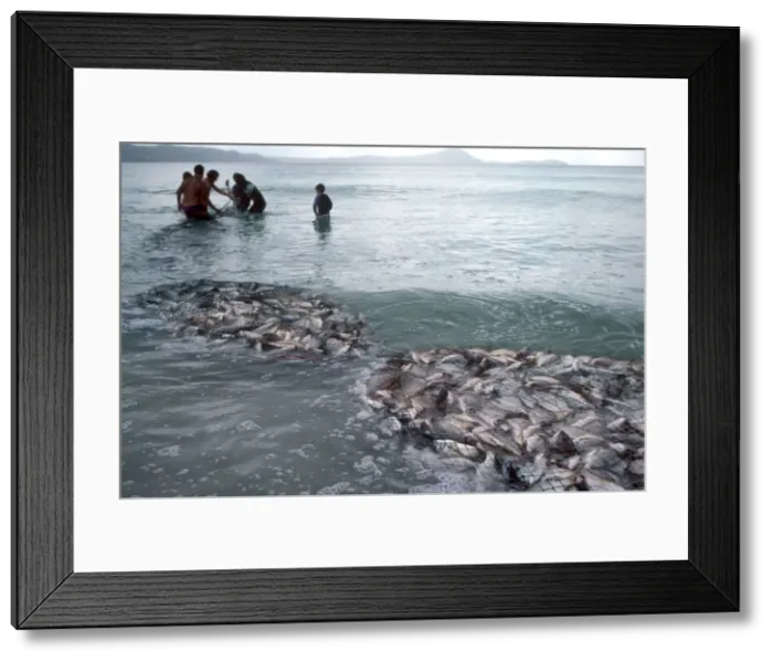 Framed Print : Picture No. 10767783 Framed Print : Picture No. 10767783