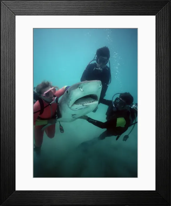 Framed Print : Picture No. 10767780 Framed Print : Picture No. 10767780