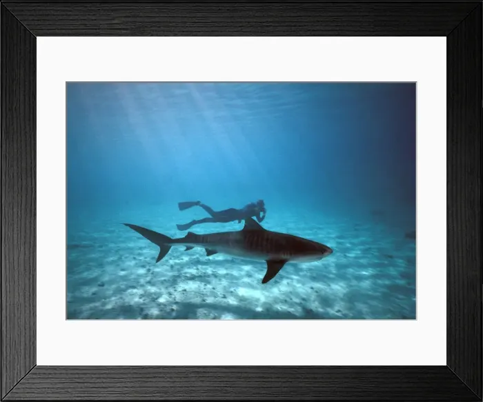 Framed Print : Picture No. 10767773