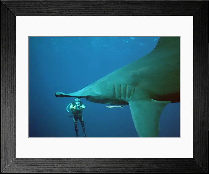 Framed Print : Picture No. 10767767 Framed Print : Picture No. 10767767