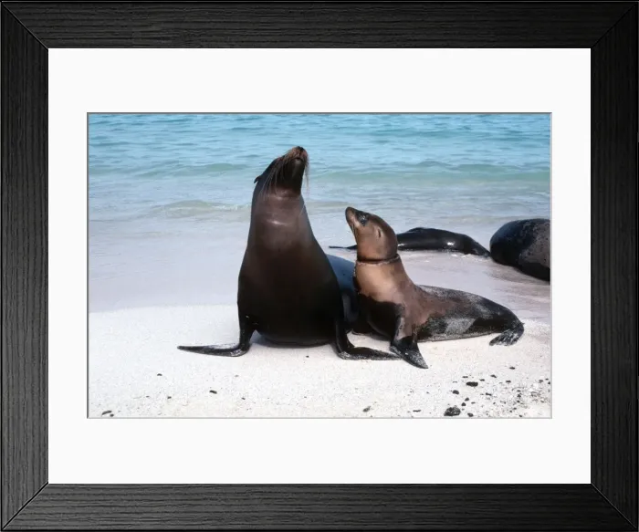 Framed Print : Picture No. 10767786 Framed Print : Picture No. 10767786