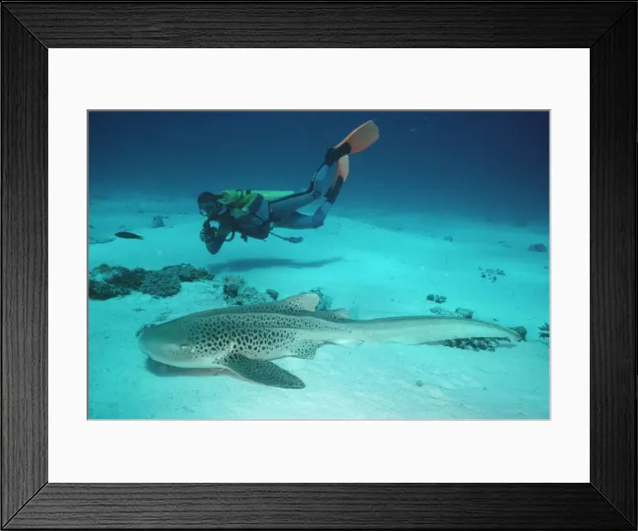 Framed Print : Picture No. 10767815 Framed Print : Picture No. 10767815