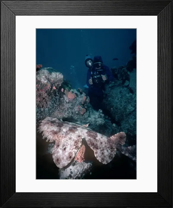 Framed Print : Picture No. 10767831 Framed Print : Picture No. 10767831