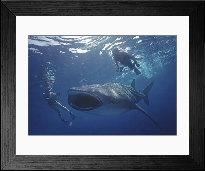 Framed Print : Picture No. 10767856 Framed Print : Picture No. 10767856