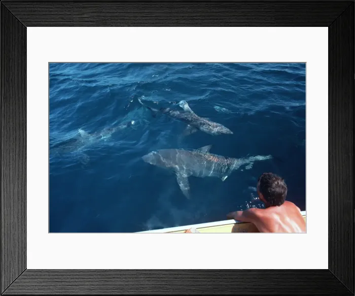 Framed Print : Picture No. 10767826 Framed Print : Picture No. 10767826