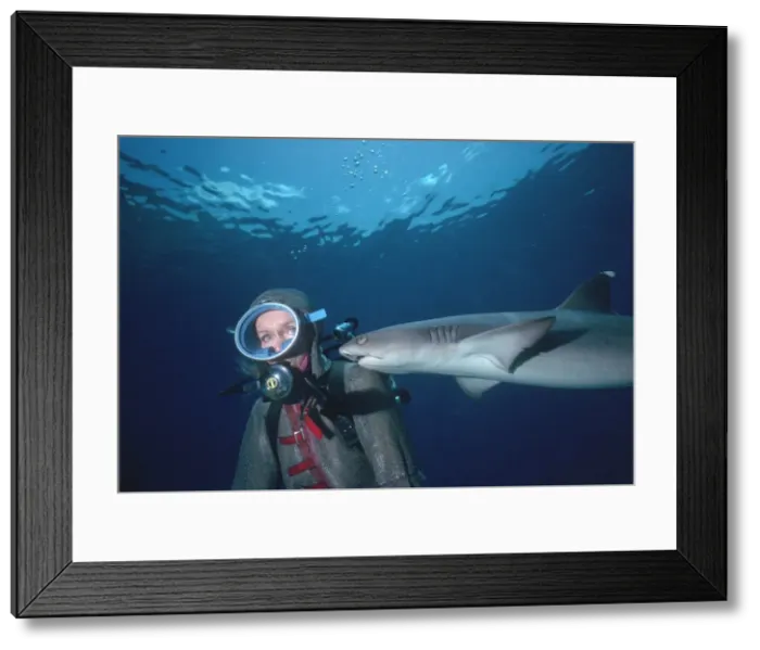 Framed Print : Picture No. 10767880 Framed Print : Picture No. 10767880