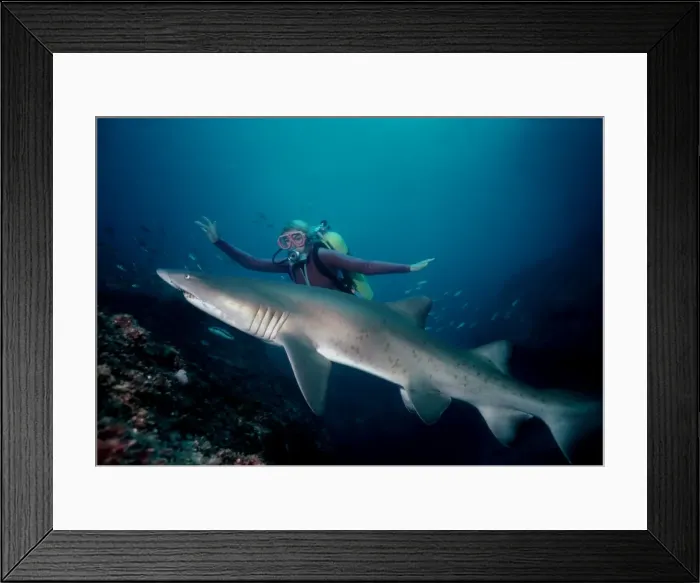 Framed Print : Picture No. 10767866 Framed Print : Picture No. 10767866