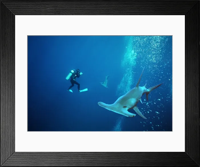 Framed Print : Picture No. 10767846