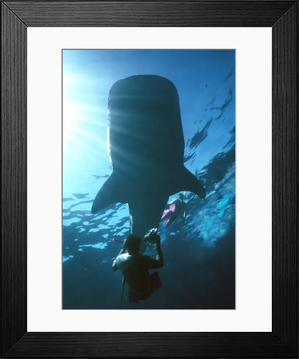 Framed Print : Picture No. 10767882