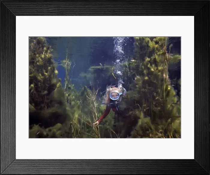 Framed Print : Picture No. 10767912 Framed Print : Picture No. 10767912