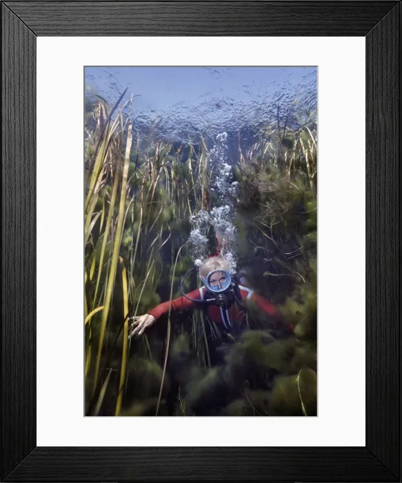 Framed Print : Picture No. 10767913 Framed Print : Picture No. 10767913