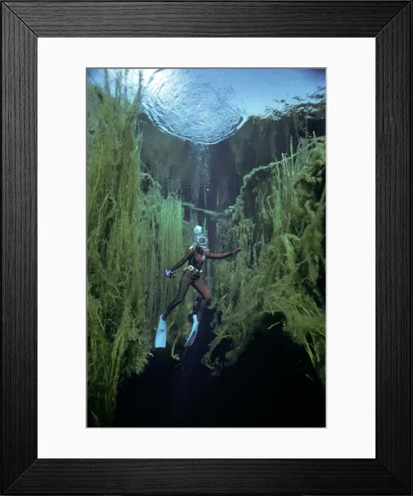 Framed Print : Picture No. 10767915 Framed Print : Picture No. 10767915