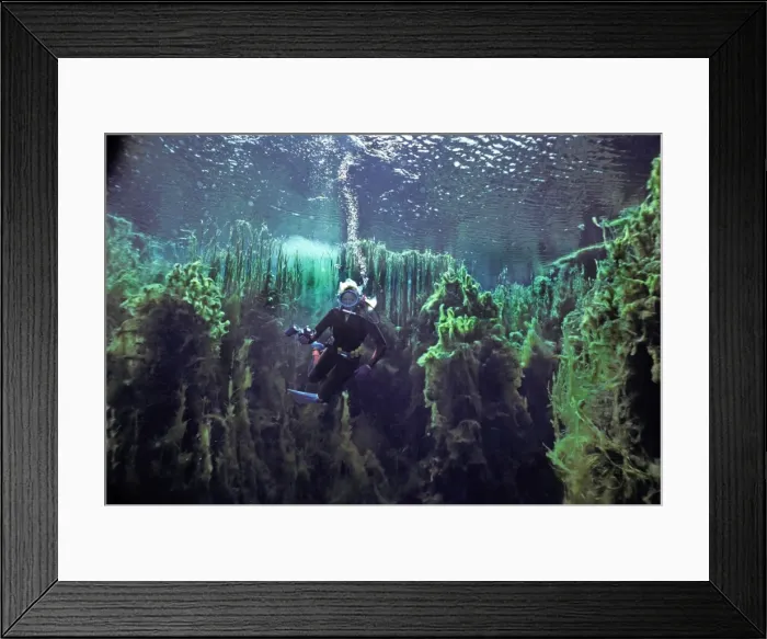 Framed Print : Picture No. 10767914 Framed Print : Picture No. 10767914