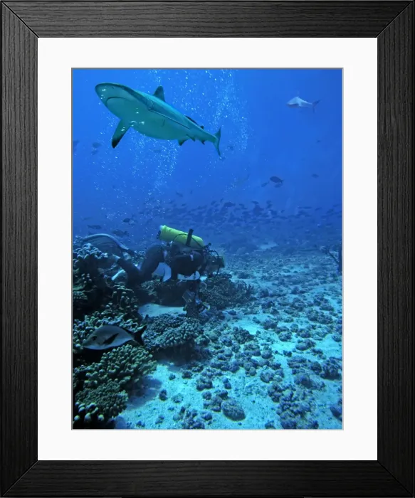 Framed Print : Picture No. 10767922 Framed Print : Picture No. 10767922