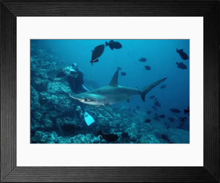 Framed Print : Picture No. 10767891 Framed Print : Picture No. 10767891