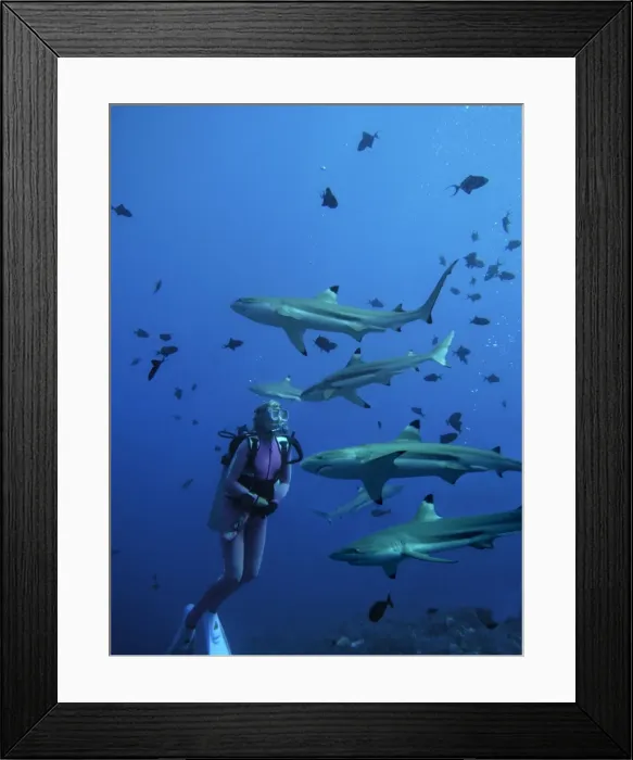 Framed Print : Picture No. 10767931 Framed Print : Picture No. 10767931